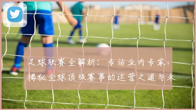 足球联赛全解析：专访业内专家，揭秘全球顶级赛事的运营之道与未来趋势