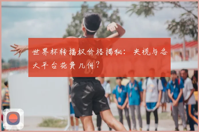 世界杯转播权价格揭秘：央视与各大平台花费几何？