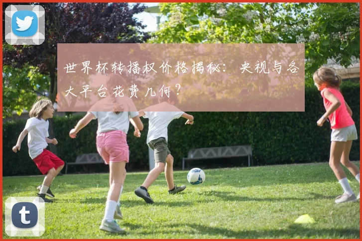世界杯转播权价格揭秘：央视与各大平台花费几何？